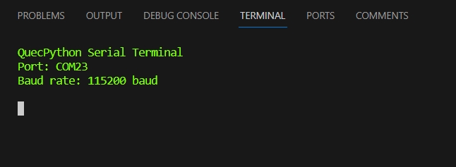 repl-terminal