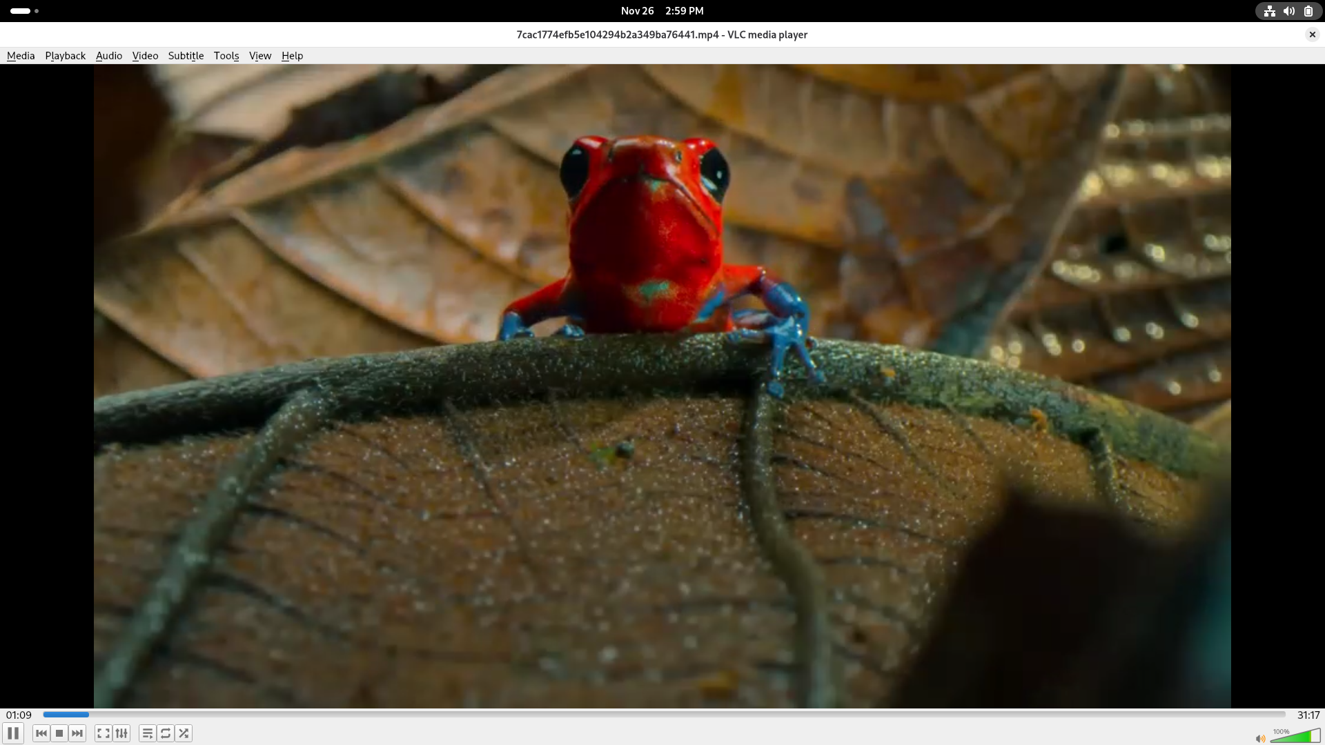 GPU Architecture Diagram