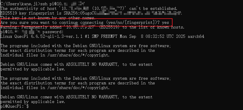 image-20251103194343947