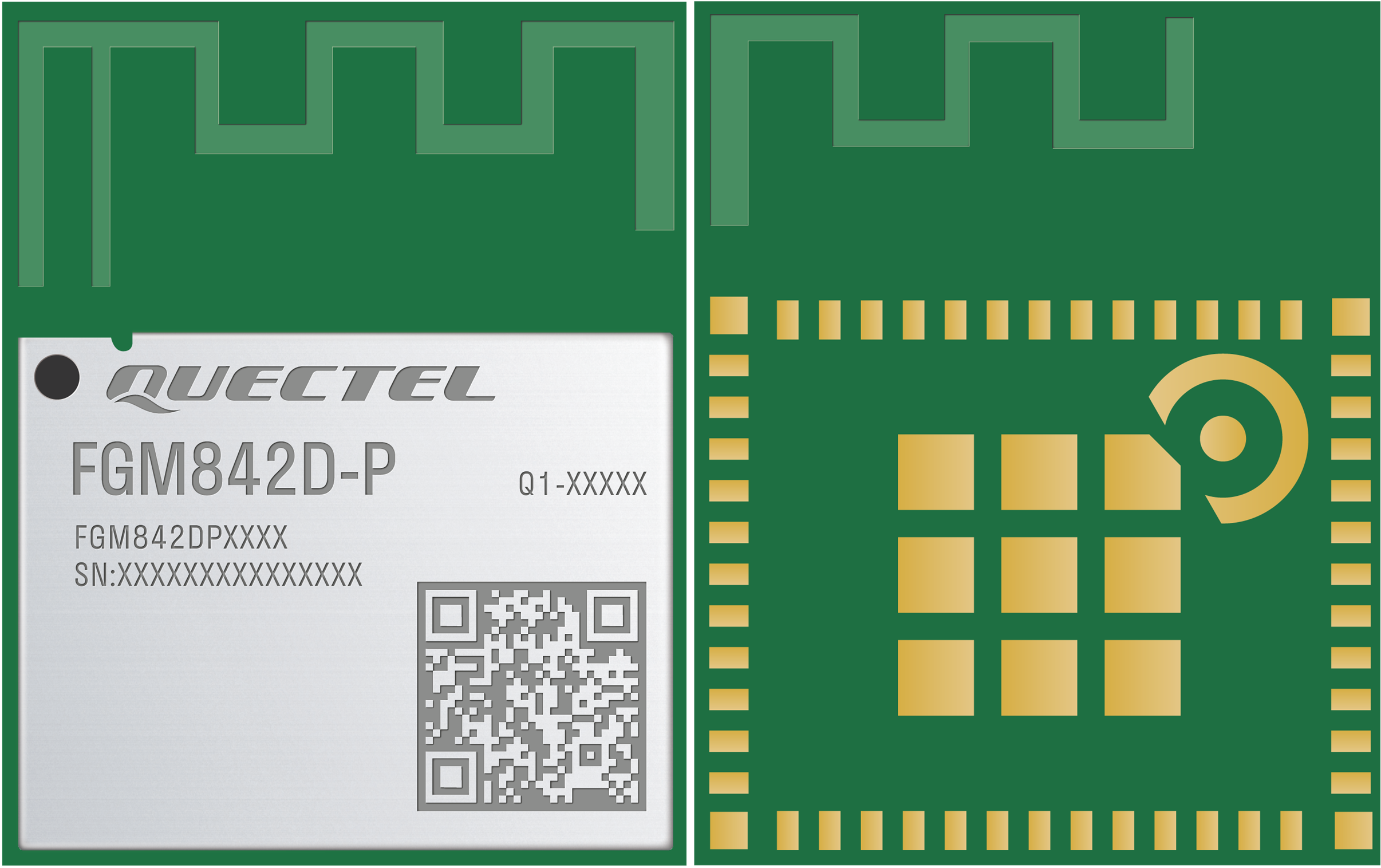 FGM842D-P 顶部和底部视图（PCB 天线）
